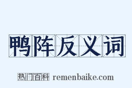 鸭阵反义词是什么意思的图片